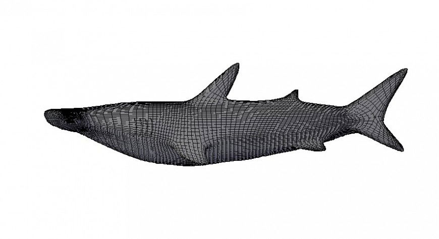 Drawings details of aquatic fish autocad software file