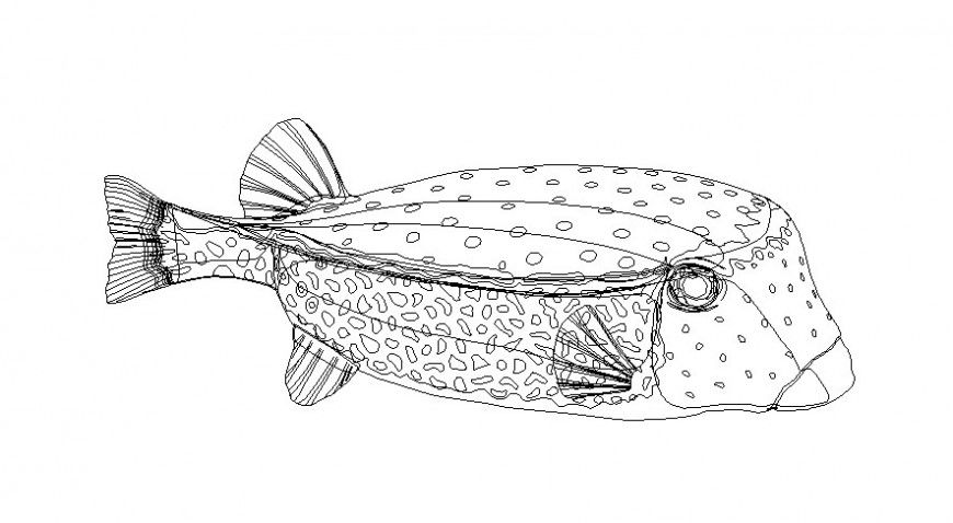 Drawings details of aquatic fish of animal units dwg file
