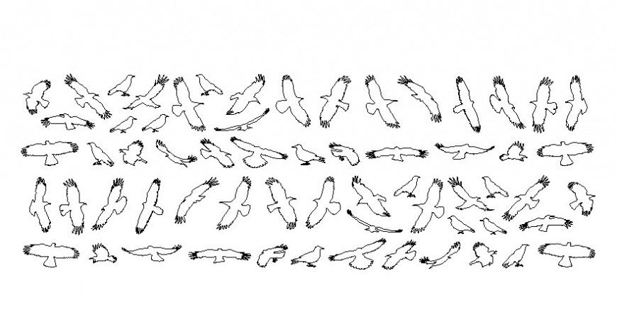 Drawings details of birds 2d view elevation autocad softwrae file