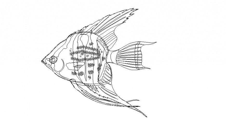 Drawings of fish 2d view of aquatic animal blocks dwg file