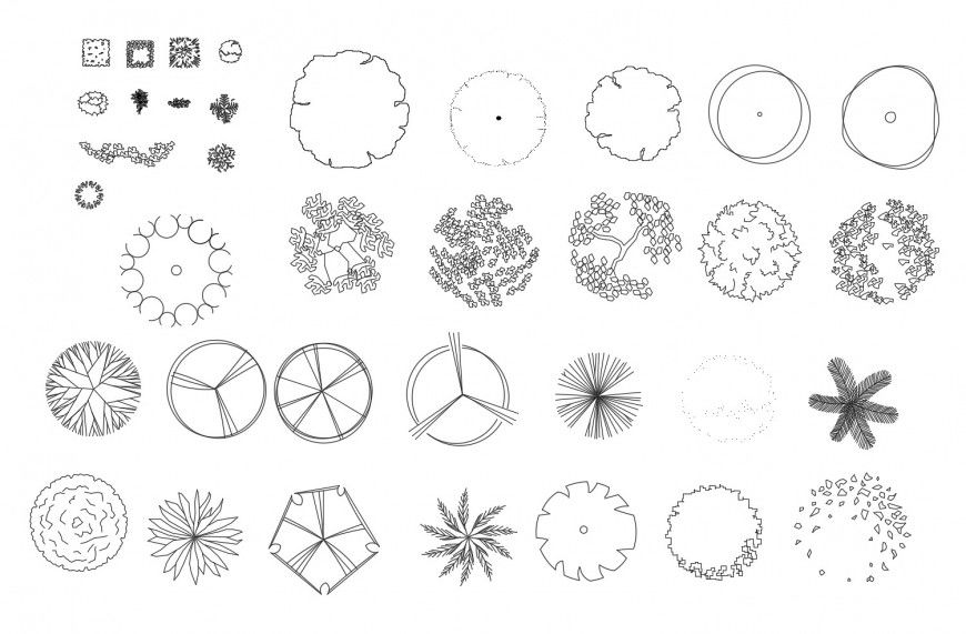 Dynamic blocks of tree plants cad drawing details dwg file