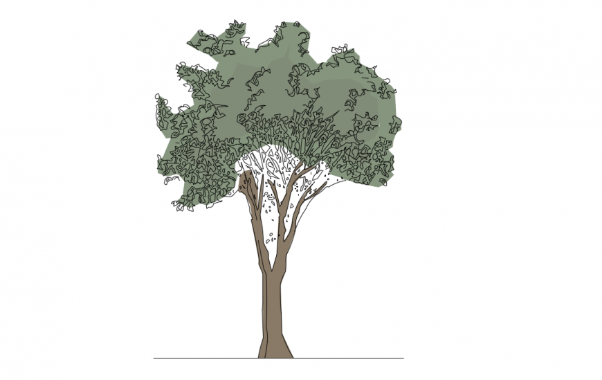 Dynamic colored tree elevation block drawing details dwg file