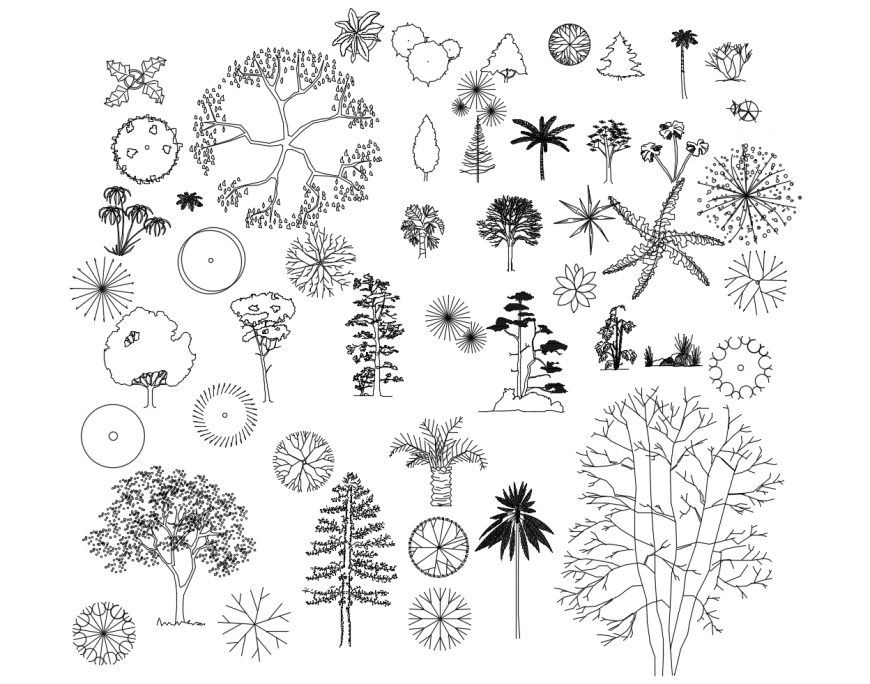 Dynamic common tree and plant elevation blocks cad drawing details dwg file