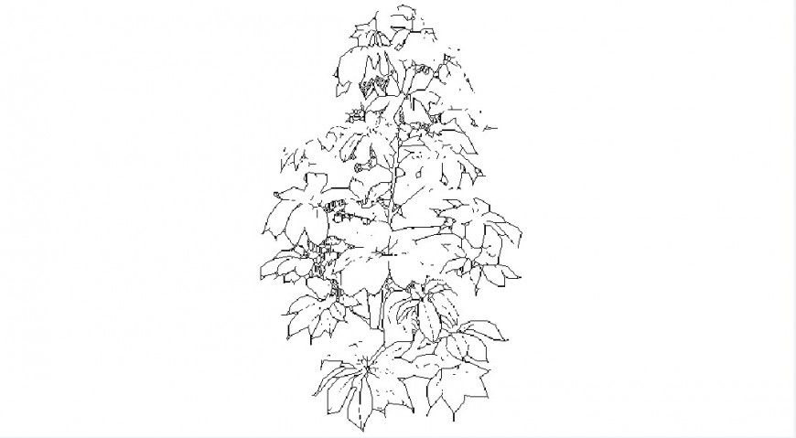 Dynamic flower plant 2d elevation block cad drawing details dwg file