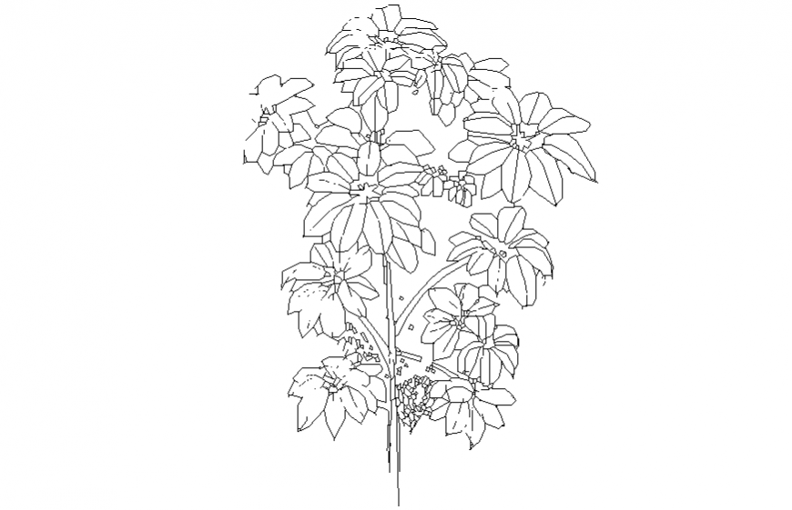 Dynamic garden flower plant elevation cad block details dwg file