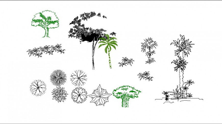 Dynamic garden tree and plant blocks cad drawing details dwg file