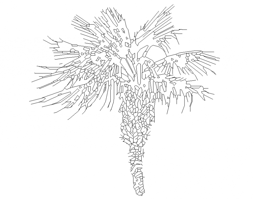 Dynamic palm tree prospectus front elevation cad block details dwg file