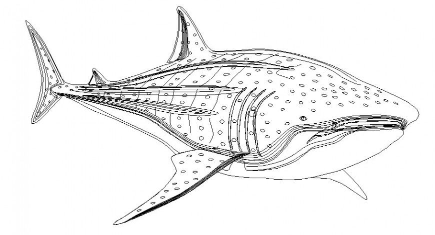 Dynamic shark fish 2d side elevation block drawing details dwg file