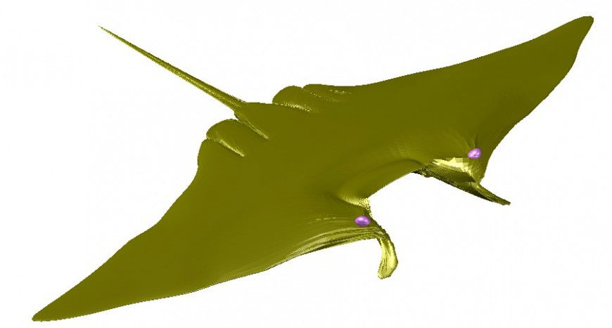 Dynamic skate fish 3d elevation block cad drawing details dwg file