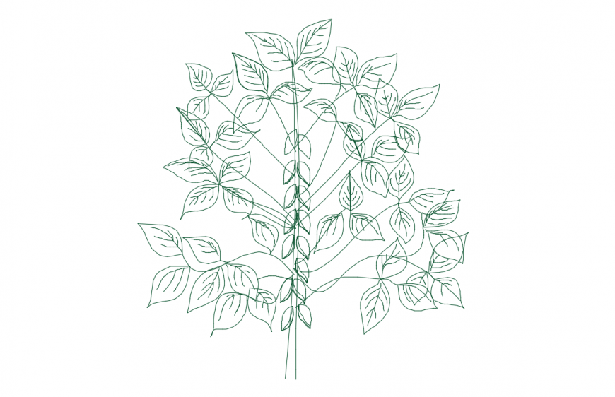 Dynamic tree plant 2d elevation block drawing details dwg file