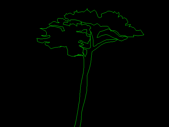 Tree AutoCAD DWG File with Detailed 2D Rendered Elevation Design