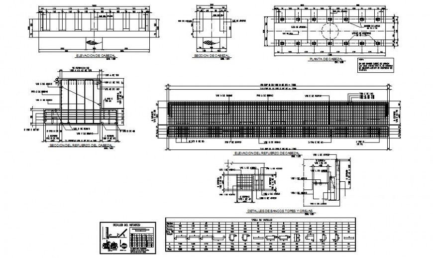 Elevation, section and constructive structure details of vehicular bridge dwg file