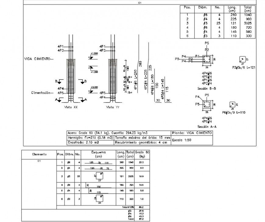 Column Reinforcement Elevation and Section DWG Drawing