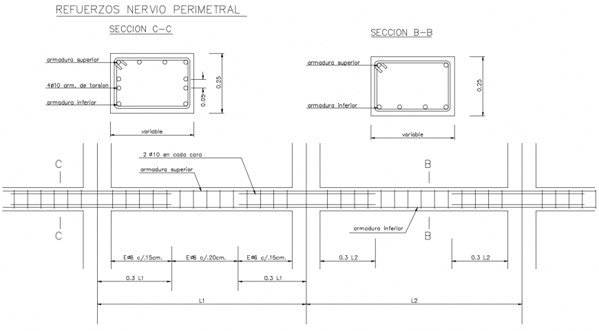 Elevation and section view of beam with rain forced design of beam dwg file