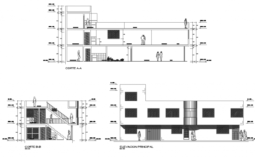 Elevation and sectional detail of residential apartment 2d view dwg file