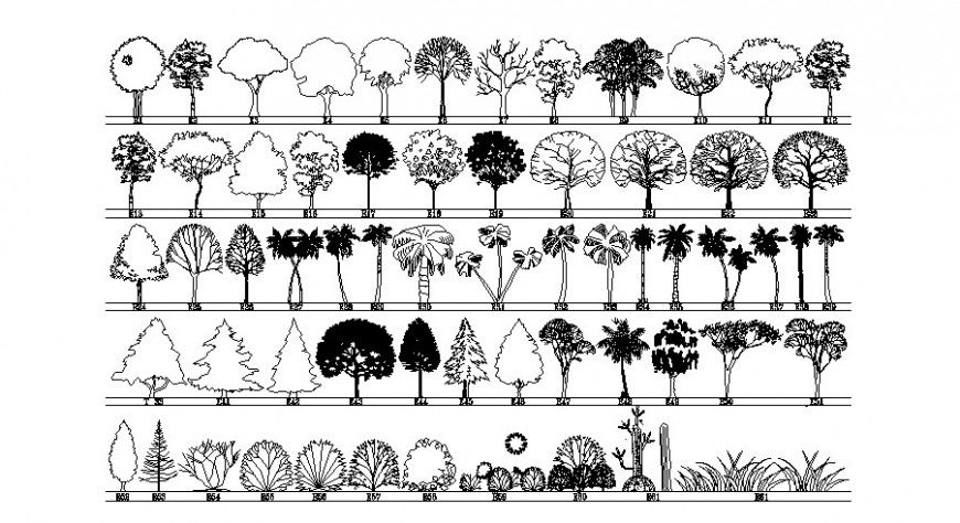 Elevation drawing of tree in dwg file.