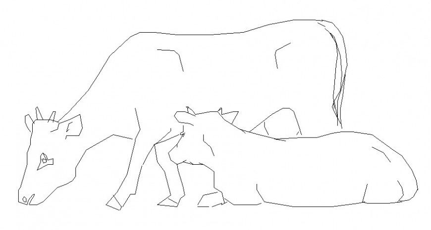 Elevation of cattle cow drawings of animal units dwg autocad file