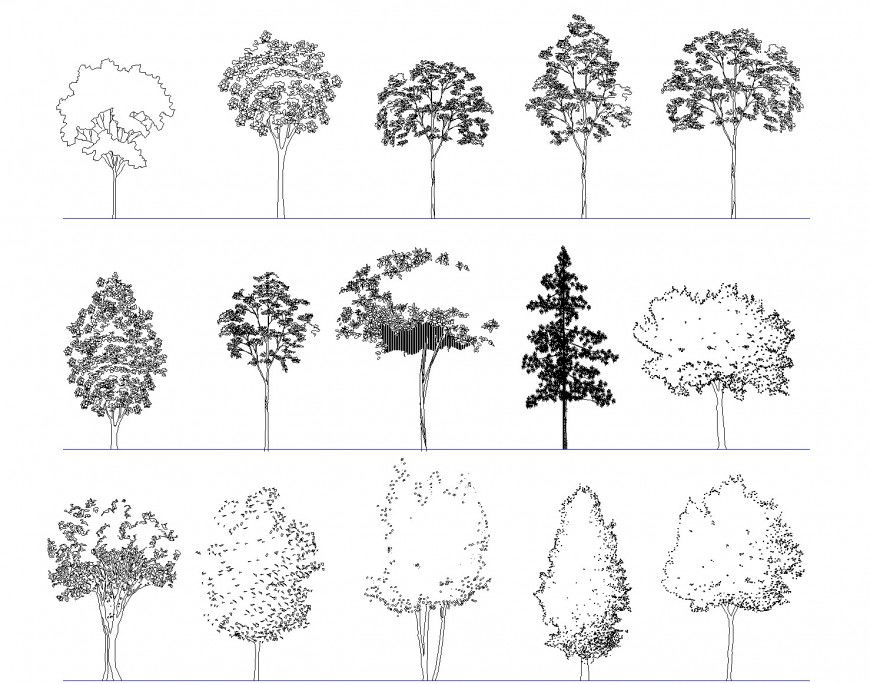 Elevation of deciduous trees dwg file