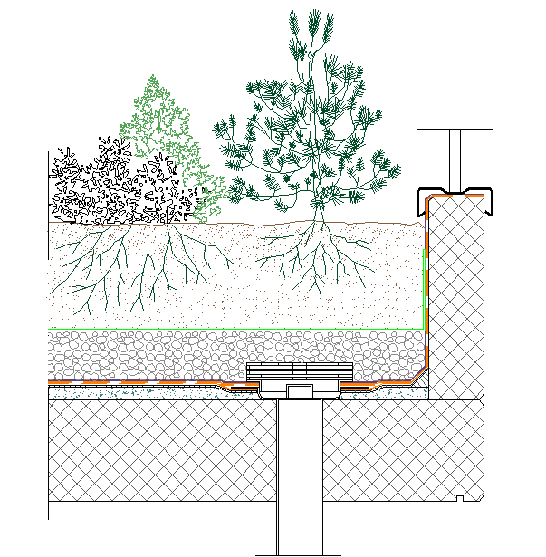 Green Roof AutoCAD Drawing with Detailed 2D Section and Layout