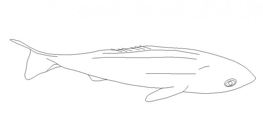 Fish drawings details of aquatic animal block dwg file