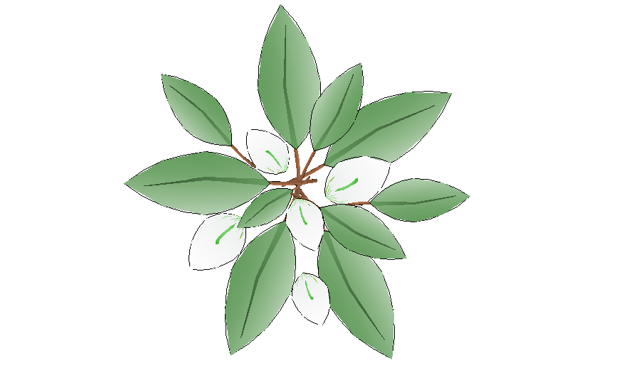 Flower plant of garden 3d block top view cad drawing details dwg file