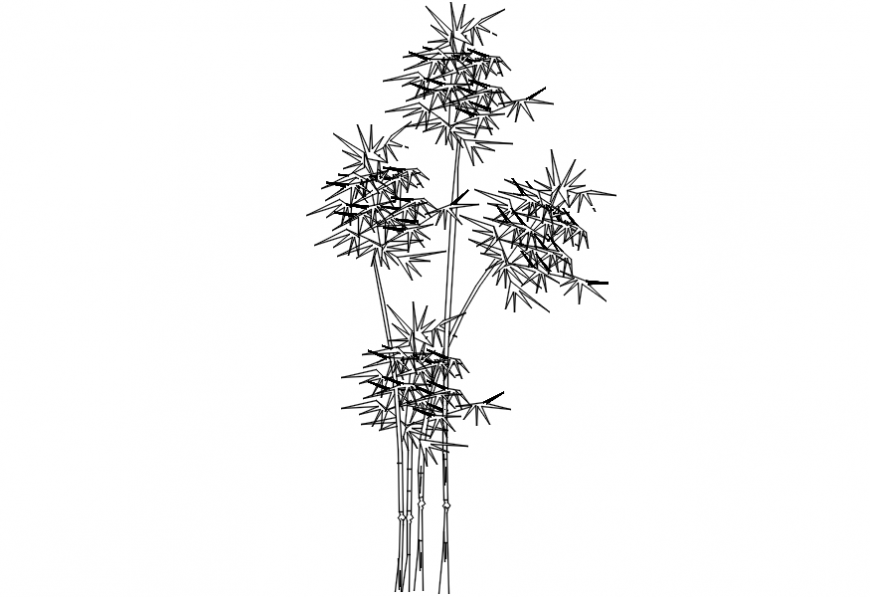 Forest tree elevation blocks cad drawing details dwg file