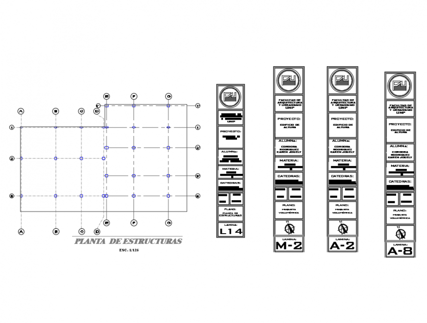 Foundation structure plan cad drawing details dwg file