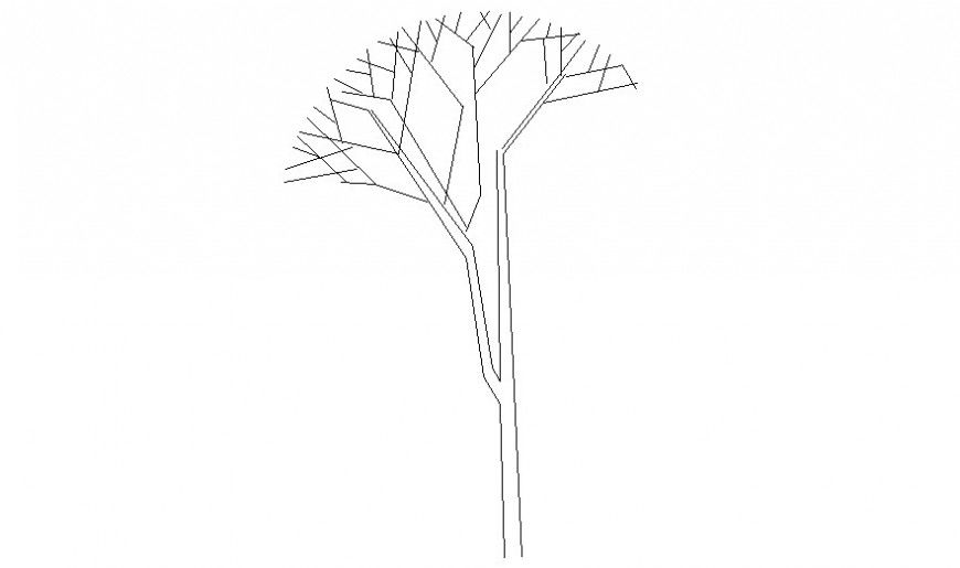 Front view of 2d tree design block autocad file