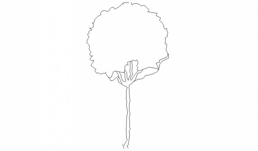 Front view of 2d tree design unit autocad file