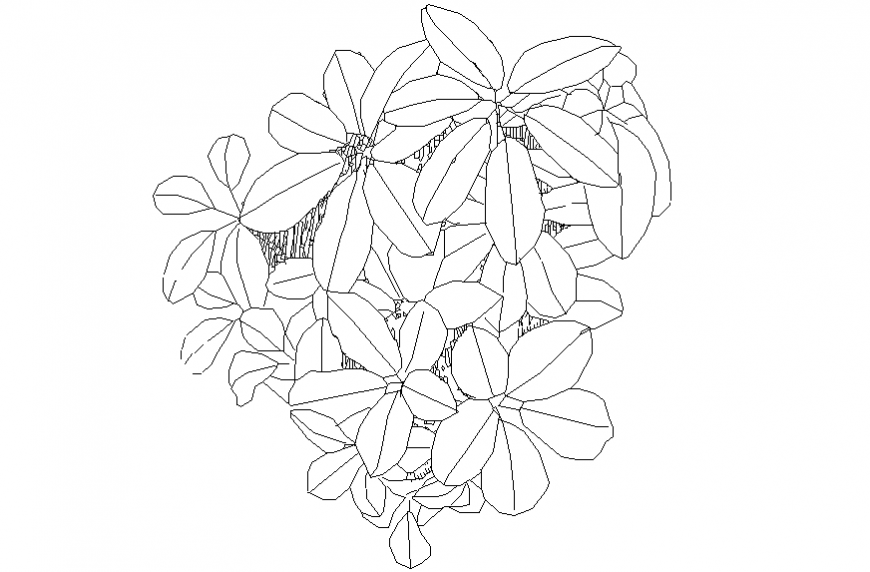 Garden flower plan elevation block cad drawing details dwg file