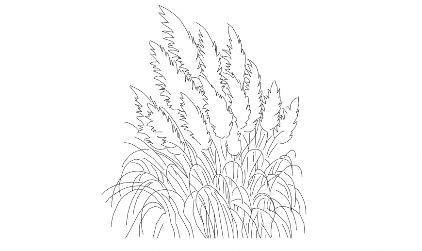 Garden flower plant 2d elevation block cad drawing details dwg file