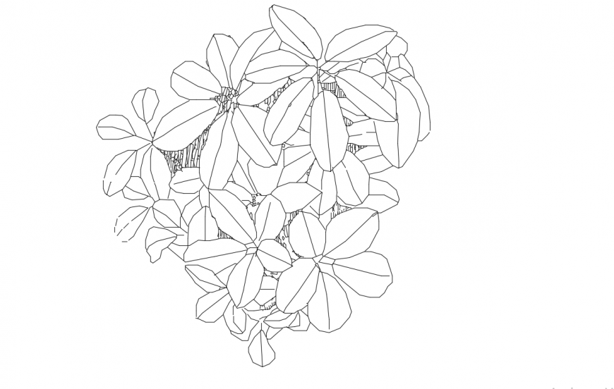 Garden flower plant top view elevation block drawing details dwg file