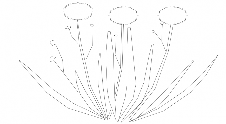 Garden plant 2d elevation block drawing details dwg file