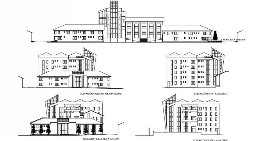 government building elevation design cad file