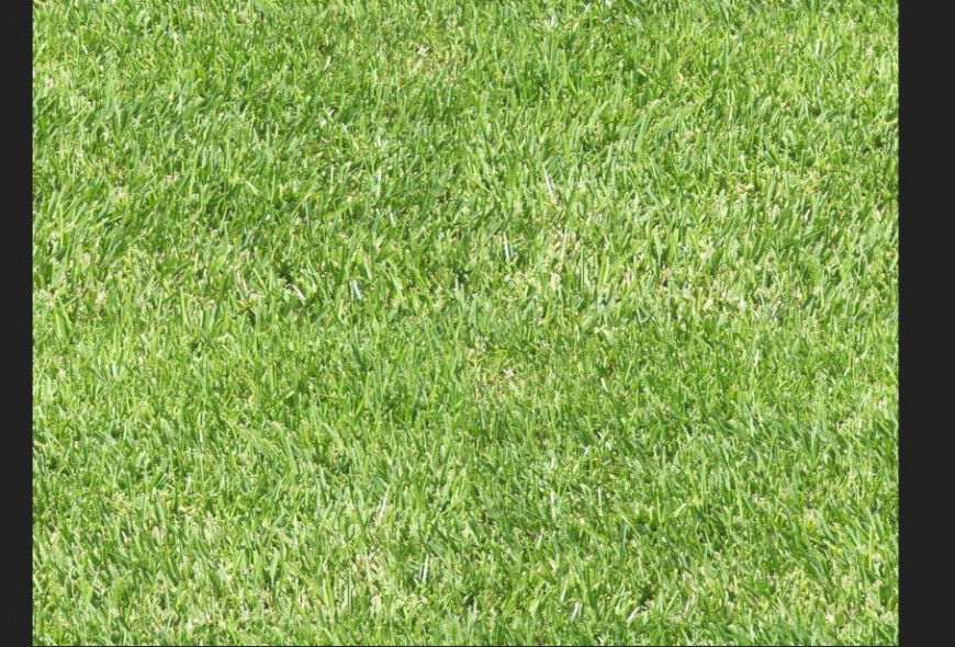 Grass lawn green area cad drawing details jpg file