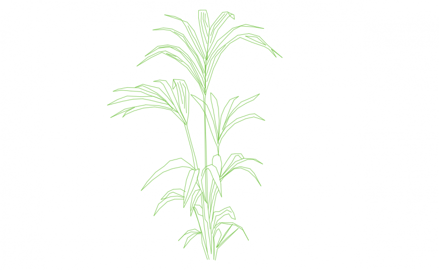 Green leaf tree plant 2d block drawing details dwg file