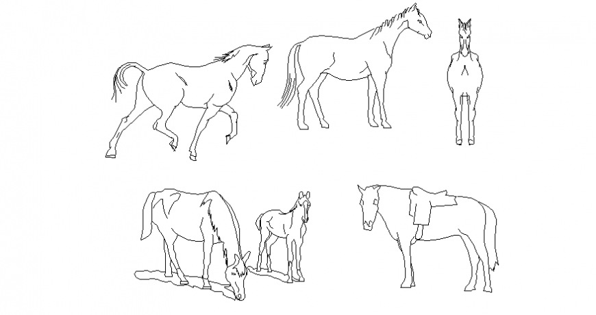 Horse different position vehicle block dwg file