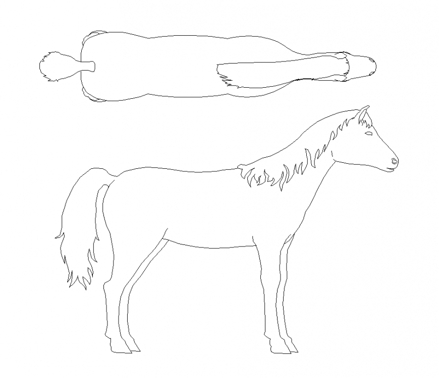 Horse plan and elevation with animal block design dwg file