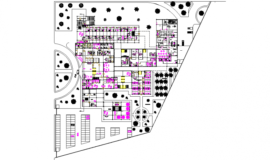 Hospital Different Type Plan Lay-out DWG file Detail