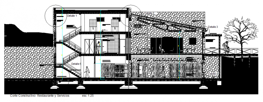 House plan with a detailing & with dwg file.