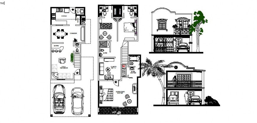 House with coconut tree plan and elevation in AutoCAD file