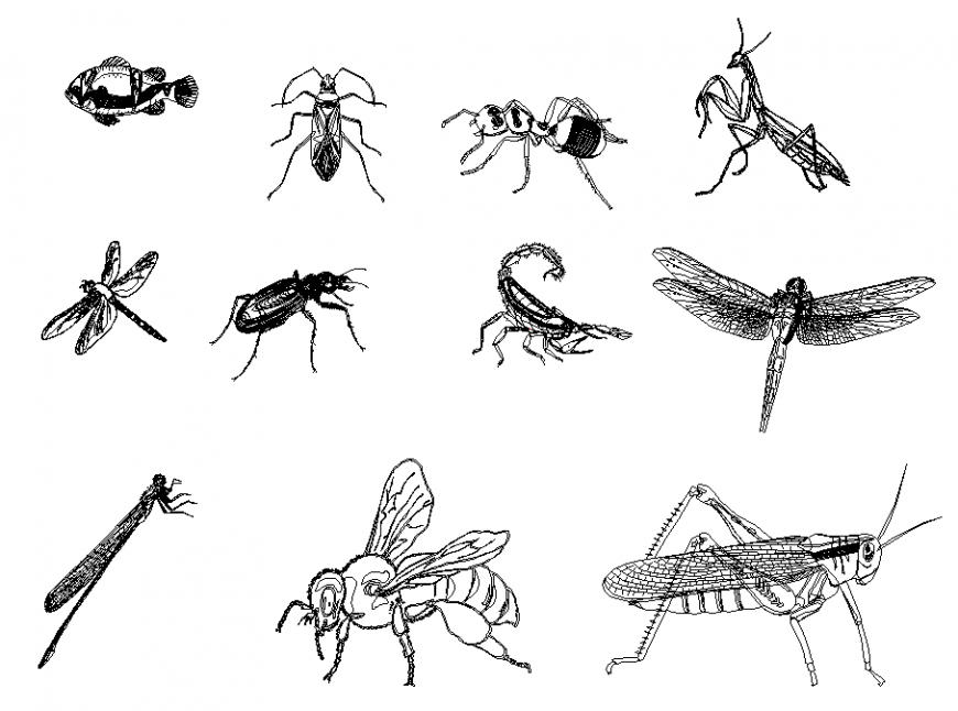 Kits animal miscellaneous blocks cad drawing details dwg file