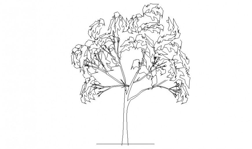 Landscaper trees block drawing 2d view in autocad software