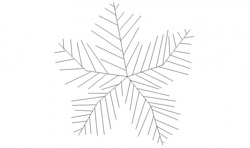 Landscaping coconut tree elevation details 2d view autocad file