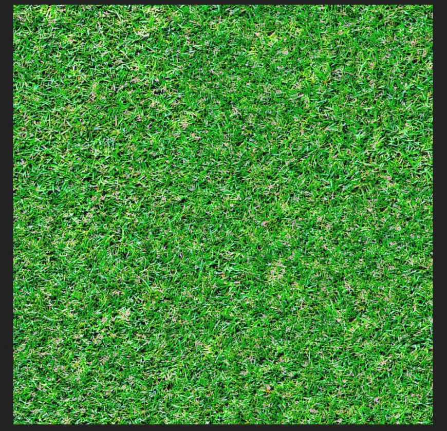 Landscaping Grass detail 3d model layout photo file