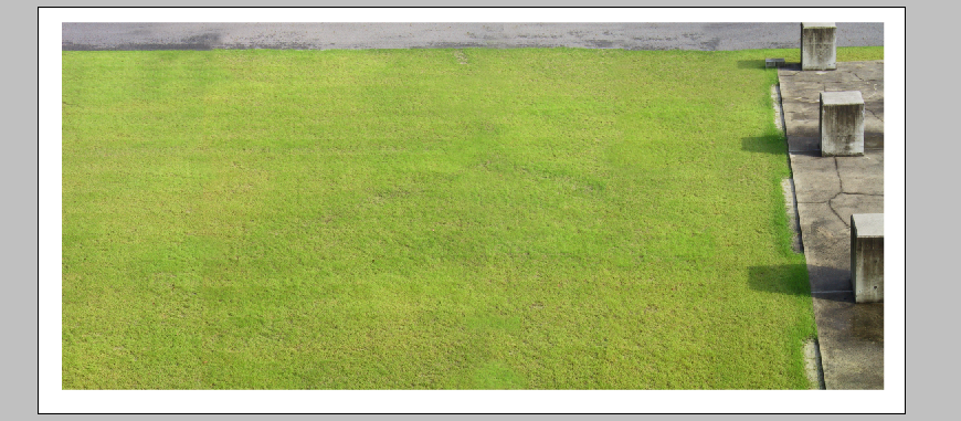 Landscaping green area details of garden 3d drawing psd file