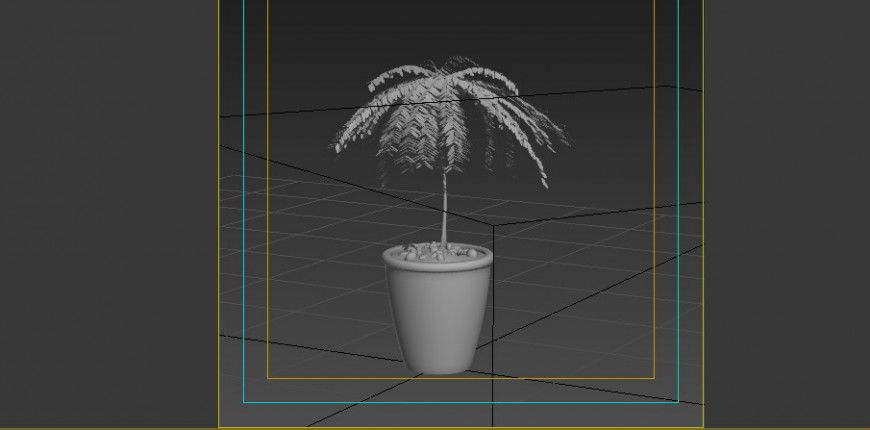 Landscaping plam tree plant detail 3d model layout revit file