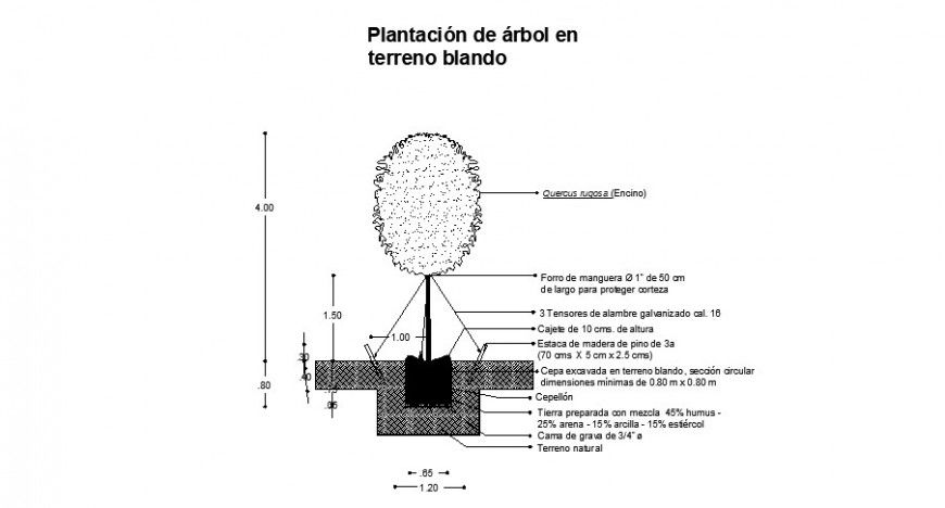 Landscaping planter units of tree detailing drawing in dwg format