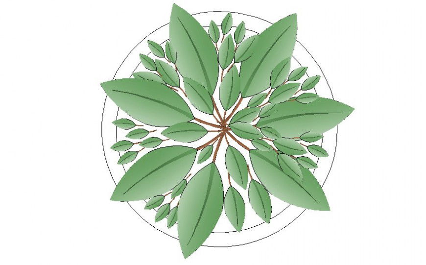 Landscaping plants detail 2d view drawing in autocad