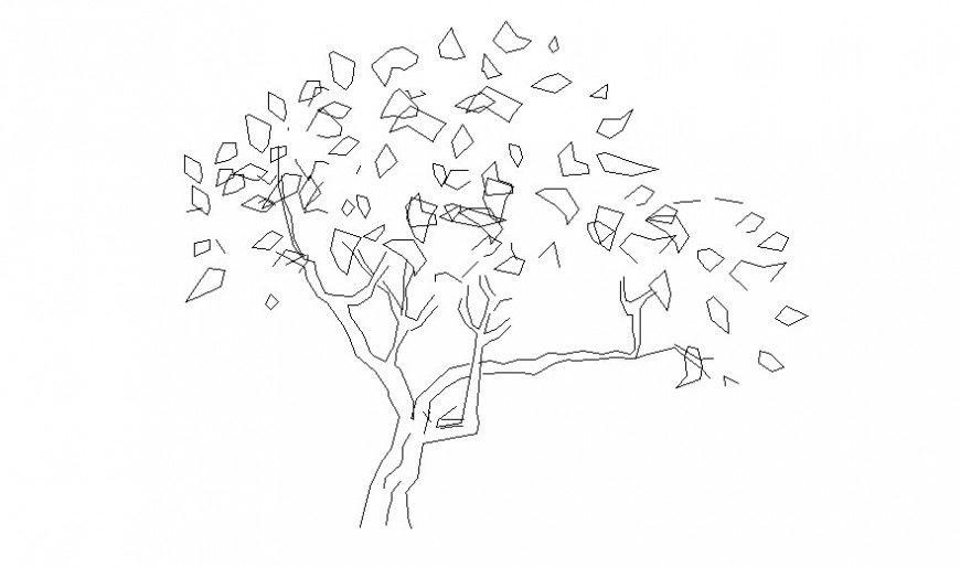 Landscaping trees CAD drawing 2d view drawn in autocad software